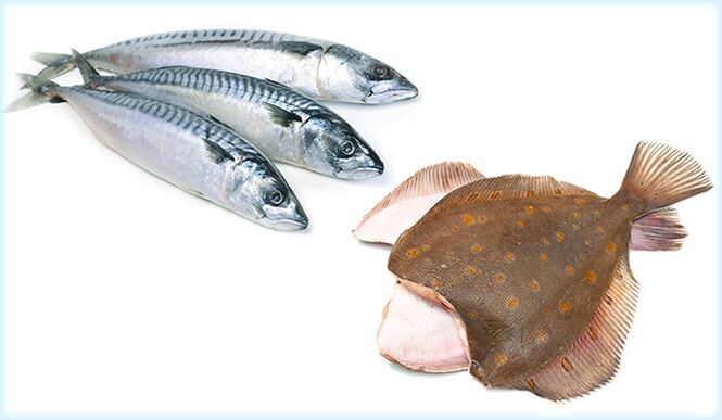 الماكريل والسمك المفلطح - سمكة تزيد من فاعلية الذكور